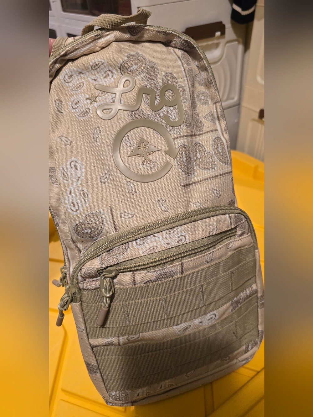 LRG Men's Beige Paisley Sling Bag
